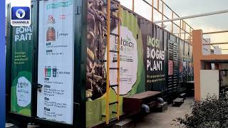How Pineapple, Other Wasted Fruits  Can Power Your Phone +More | EcoAfrica