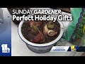 Sunday Gardener: Perfect gifts for the holidays