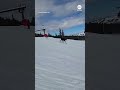 Moose runs wild at Jackson Hole ski run  - 01:00 min - News - Video
