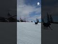 Moose runs wild at Jackson Hole ski run