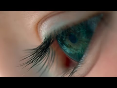 Voyage of Time: Life’s Journey'