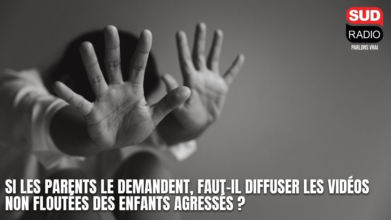Agression d'une collégienne : faut-il diffuser les vidéos non floutées des enfants agressés ?