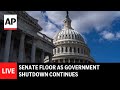 LIVE: Senate floor as government shutdown continues