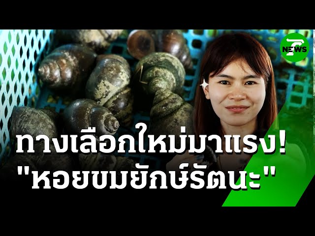 ทางเลือกใหม่ คนอยากมีอาชีพเสริม "หอยขม" : ของดีเกษตรบ้านเรา | 7 ก.ค. 68 | ห้องข่าวหัวเขียว