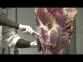 Chad invests in beefing up meat exports  - 02:40 min - News - Video