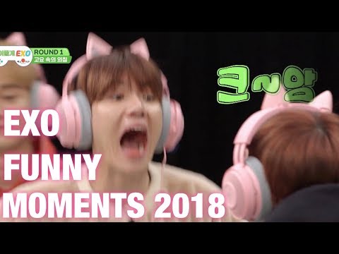 EXO FUNNY MOMENTS 2018