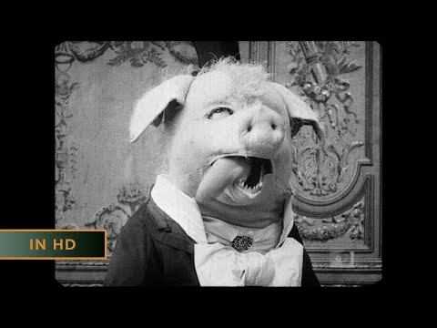 Le cochon danseur'