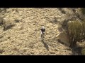 Jacob Spera: FreeRide 2013