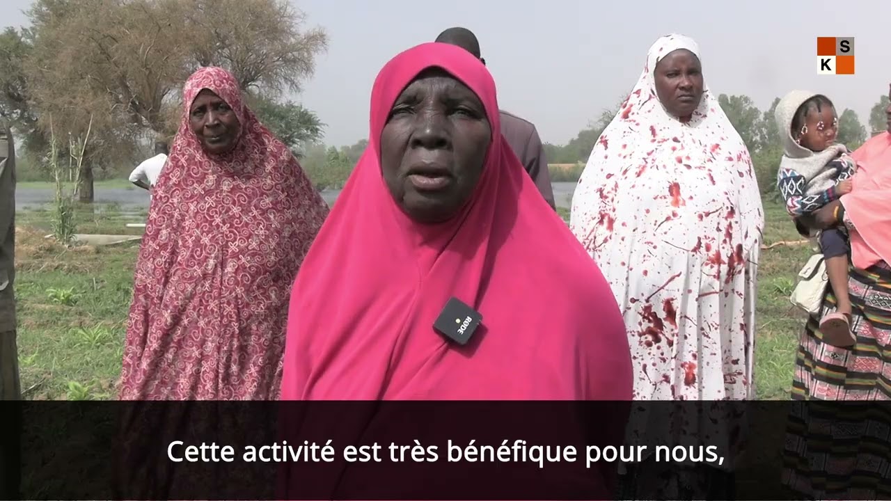 Inondation des jardins des femmes de Goudel à Niamey