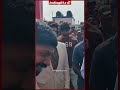 Nandamuri Balakrishna Mass Entry #nandamuribalakrishna #ytshorts #trending #indiaglitztelugu  - 00:32 min - News - Video