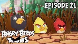 Angry birds - S2 Ep21 - Jedlo