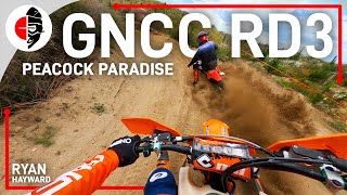 Ryan Hayward | 2024 GNCC New Zealand - RD3: Peacock Paradise