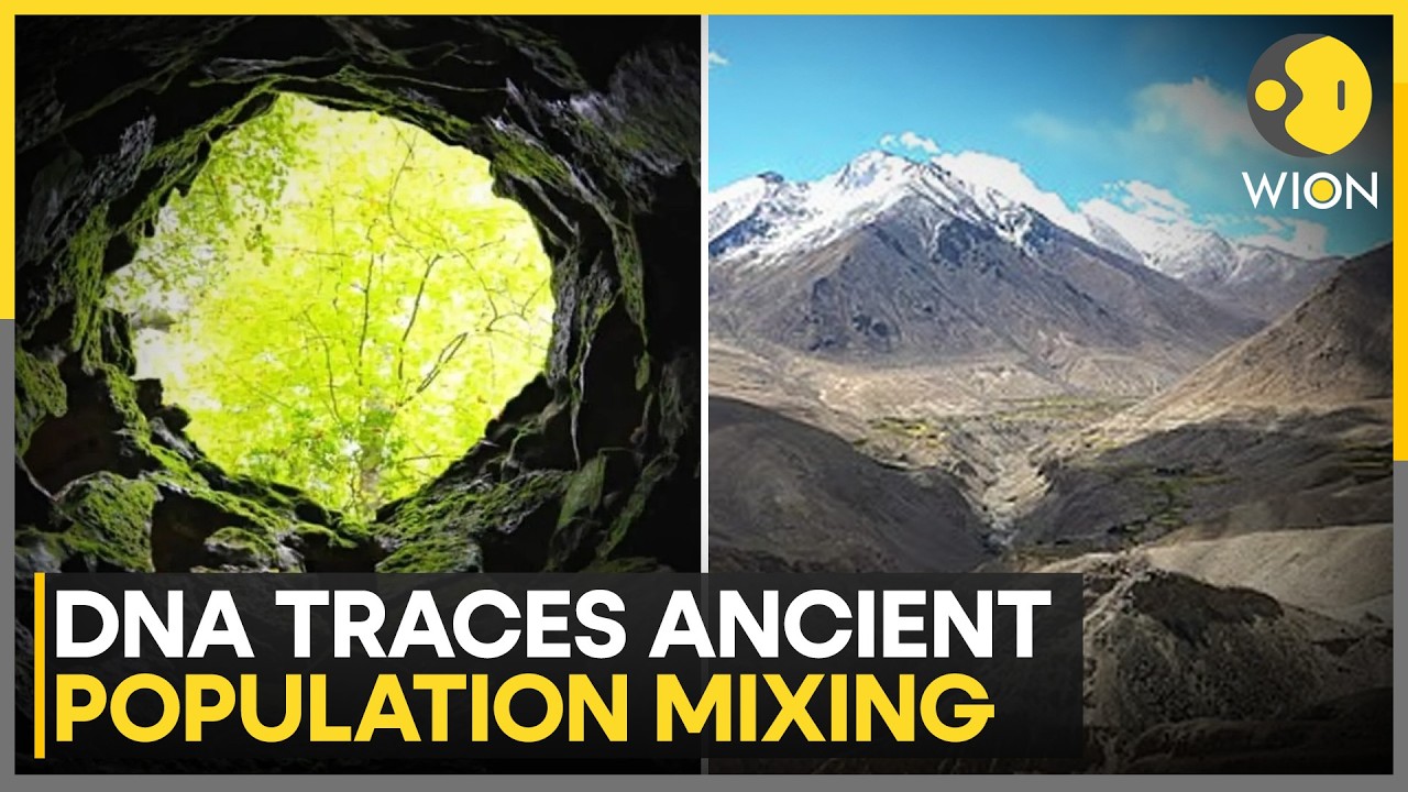 Ancient DNA Reveals Mix Of Tibetan And North Indian Ancestry | WION News