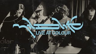 Mildlife - Live at Colour