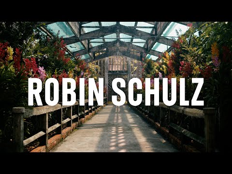 Upload mp3 to YouTube and audio cutter for Robin Schulz  Wes  Alane Official Lyric Video download from Youtube