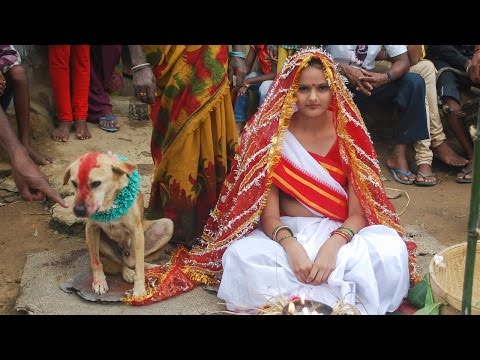 Hindistan Da 18 Yasindaki Kiz Kopekle Evlendi Video Galeri