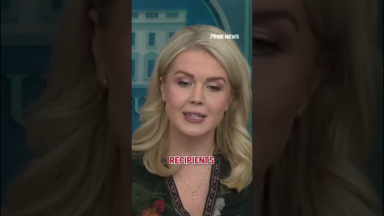 Leavitt: We are digging into a contingency fund that is supposed to be for emergencies #shorts #usa