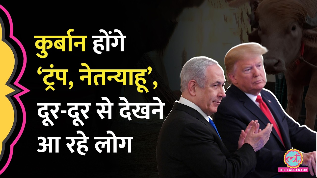 ‘Donald Trump’ और ‘Benjamin Netanyahu’ की कुर्बानी तय, Eid-al-Adha से पहले जुट रही भीड़ | Banglades