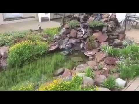 Property video