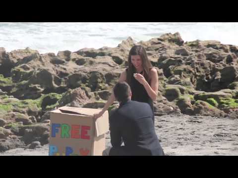 Tiffany & Darren's Puppy Proposal