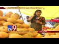 AP's Banganapalle mangoes get Geographical Indication Tag