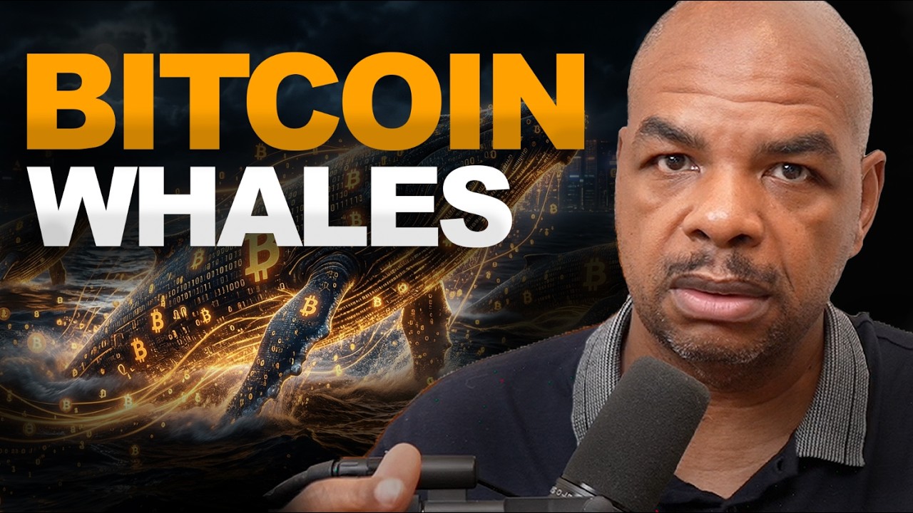 BTC 🐋 Whales WILL SHOCK US!!
