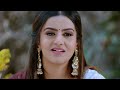 Naagini - నాగిని - Telugu Serial - EP - 239 - Tejasswi Prakash, Mouni Roy - Zee Telugu