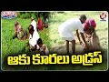 Chinna Mandaram Village Turns Care of Address For Green leafy vegetables Farming | V6 Teenmaar