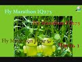 Fly Marathon IQ275. Часть 1. Смартфон dual.