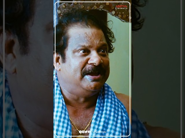 గల్ గల్ గల్... జిల్ జిల్ జిల్...| #Nagavalli #Venkatesh #Anushka #YTShorts #TrendingOnShorts #Reels