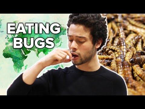 We Try Eating Gourmet Bugs