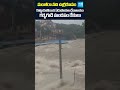 మంజీరా నది ఉగ్రరూపం | #heavyrains #edupayalatemple #manjeerariver #hyderabadrains #sakshitv #sakshi