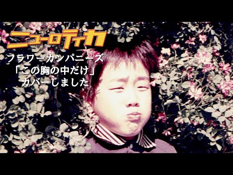 ニューロティカ「フラワーカンパニーズ・この胸の中だけ」をカバーしました