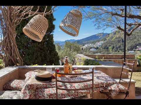 Property video