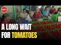 Long Queues To Buy Subsidised Tomatoes | The News