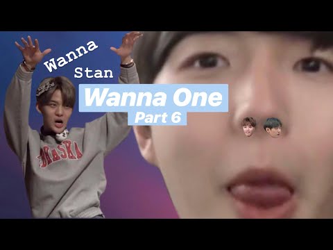 15 minutes of wanna one's madness