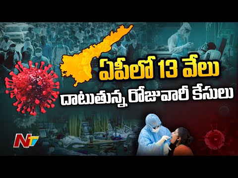 AP reports 13000 Covid cases within 24 hours AP reports 13000 Covid cases within 24 hours