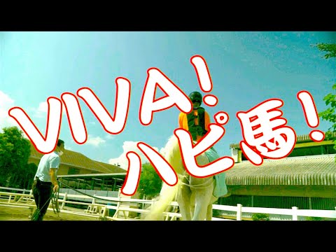 「VIVA!ハピ馬」オメでたい頭でなにより - Music Video|
