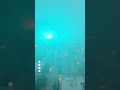 Houston hit by severe storm packing hurricane-force winds  - 00:22 min - News - Video