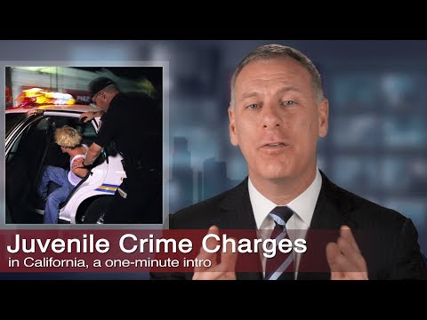 323-464-6453  More juvenile crime legal info: http://www.losangelescriminallawyer.pro/juvenile-crime.html

Call for a free consultation with the Kraut Law Group 24 hours-a-day, seven days-a-week, for help with your juvenile crime legal case. ...