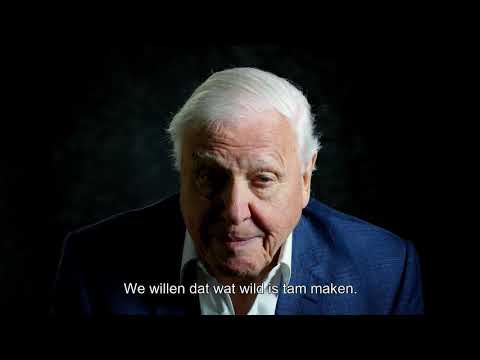 David Attenborough: A Life On Our Planet'