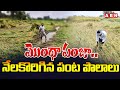 తెలంగాణలో మొంథా ఎఫెక్ట్ |  Cyclone Montha effect in Telangana | ABN