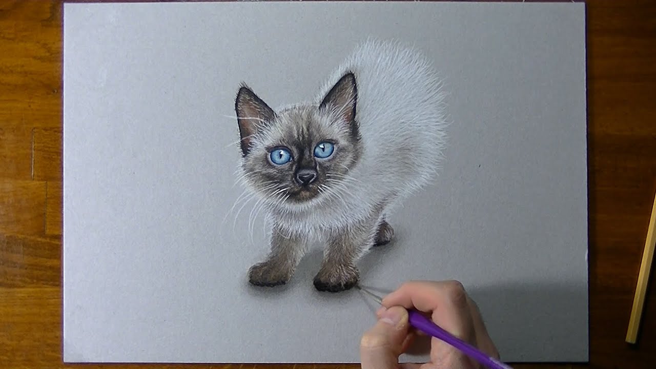 Drawing Time Lapse: thai kitten portrait (Violetta) - YouTube