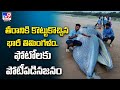 Blue Whale washes ashore in Andhra Pradesh