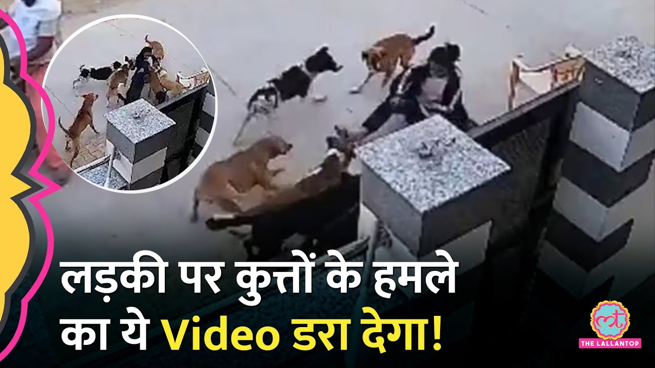 घर के बाहर बात कर रही लड़की पर कुत्तों का Attack, बुरी तरह नोंचा, CCTV Viral | Alwar Dog Bite Case