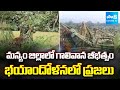 భయపెడుతున్న గాలివాన | Storm Wreaks Havoc in Manyam District | AP Rains | @sakshitv