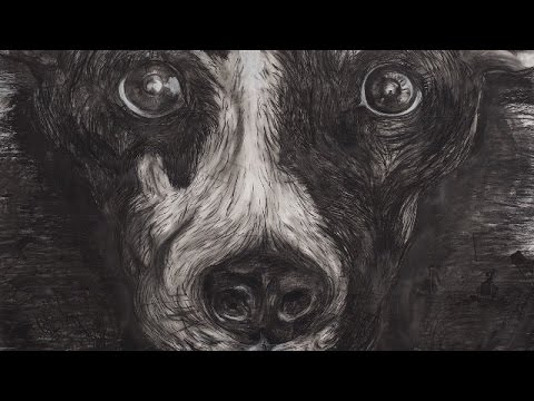 Heart of a Dog'