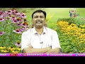 Babu Plan His Own బాబు లెక్కలు బాబుకి ఉన్నాయ్  - 01:49 min - News - Video