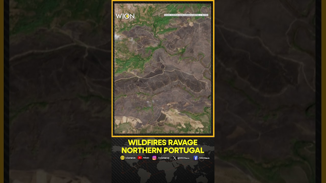 Satellite Imagery Shows Wildfire Damage in Portugal | WION Shorts