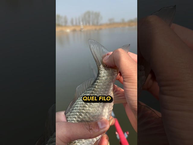 È un parassita mortale 👀🐟☠️